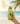 tropic glow