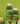 greenergy - reset juice